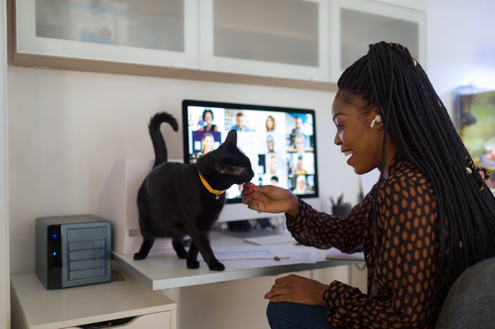 remote working with pets during conference calls